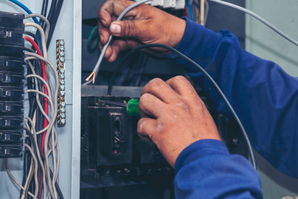 Best Affordable Electrician  in Clover Creek, WA